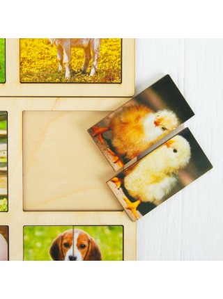 Картинки-половинки Домашние животные (2 планшета) Smile Decor А018